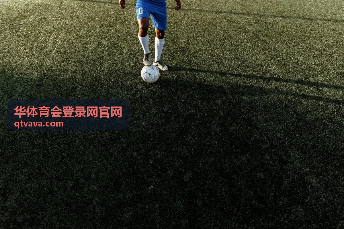 华体育会登录网官网技术分享嘉宾陈昊
